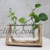 Vintage Style Wooden Tray Glass Tabletop Plant Bonsai Flower Vase Home Decor   372166164068